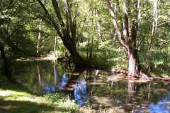 IMG-20200901-WA0015